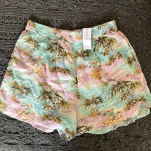 American Eagle Shorts NWT
